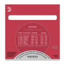 DADDARIO EJ27N-3D