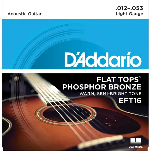 DADDARIO EFT16