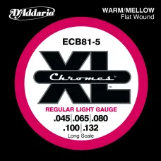 DADDARIO ECB81-5