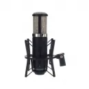 AKG P820