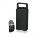BEHRINGER C112