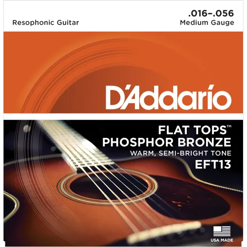 DADDARIO EFT13